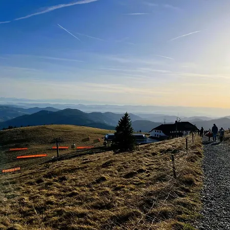 Traumwerk Apartment Titisee-Neustadt