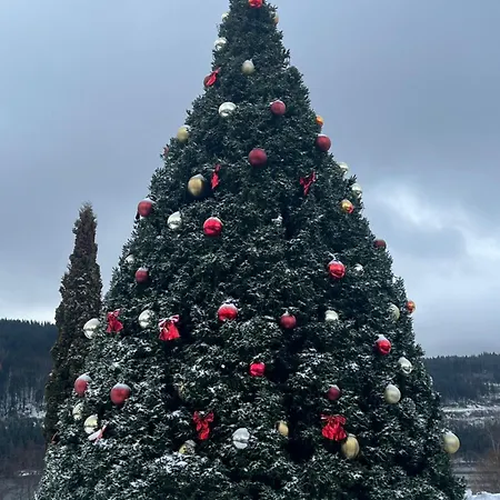 Traumwerk * Titisee-Neustadt