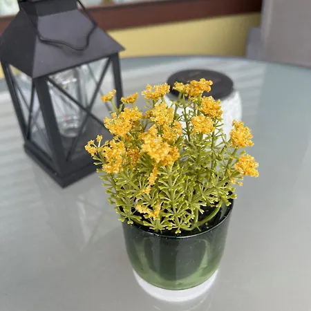 Apartment Traumwerk *