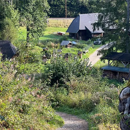 Apartment Traumwerk Titisee-Neustadt