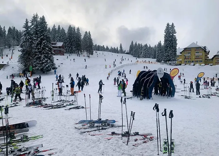 Traumwerk شقة تيتيسي نيوستادت