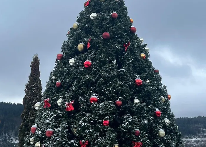 Traumwerk * تيتيسي نيوستادت