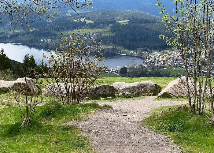 Traumwerk تيتيسي نيوستادت